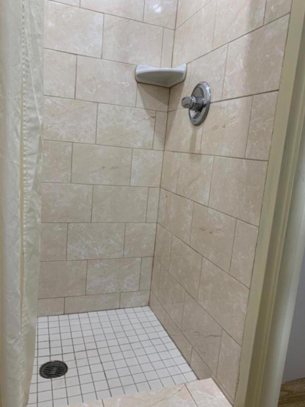 Budget Inn Williamsville Image 25